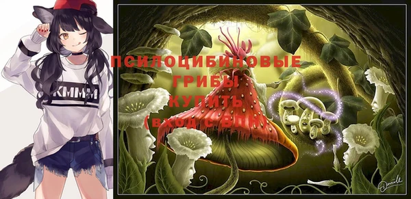 мдпв Бугульма
