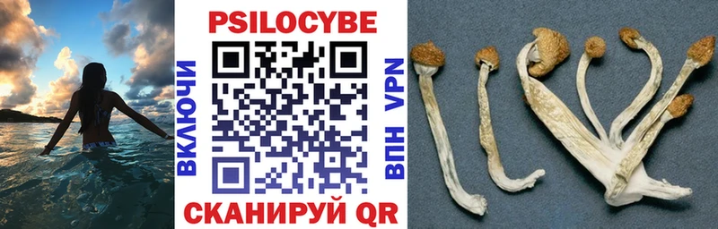 Купить  Озёрск  Псилоцибиновые грибы Magic Shrooms 